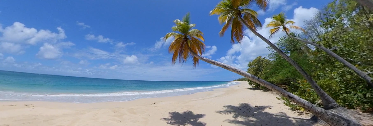 Martinique Beaches